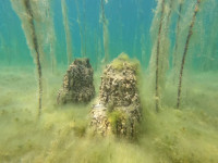 “Reuters”: Zbulohet në Shqipëri vendbanimi më i vjetër nën liqen në Evropë