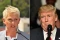 Ellen DeGeneres - Trum p