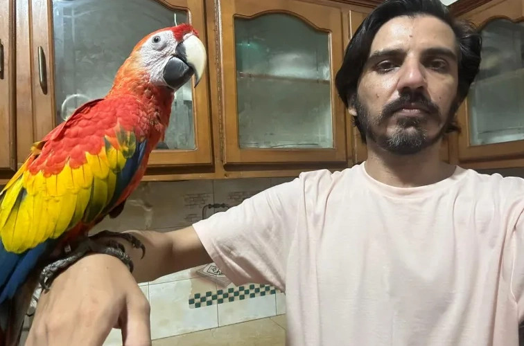 Blerja e papagajve nga një gazetar çoi në bllokimin e llogarive të shitësve në Pakistan