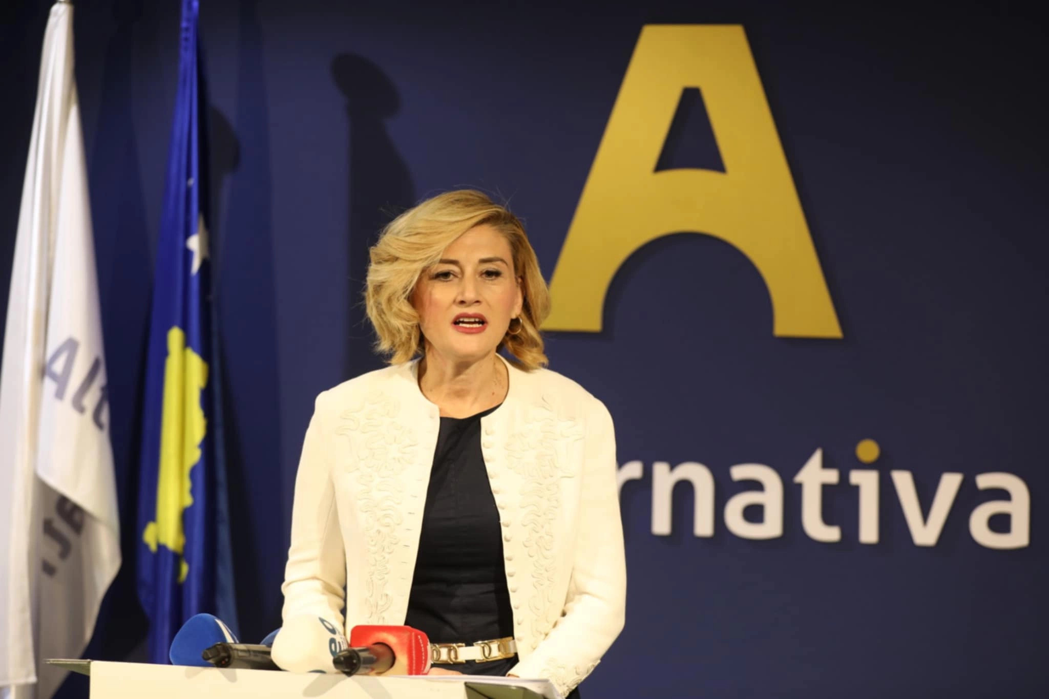 Alternativa samostojno kandidirala na lokalnih volitvah v šestih občinah