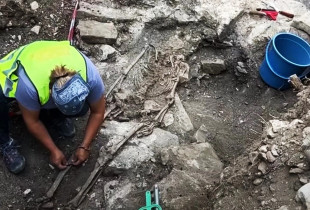 Edhe pse konkluzionet përfundimtare do të varen nga analizat