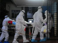 Virusi vdekjeprurës që shpërthen pas transmetimit nga kafshët e infektuara