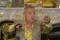 Gigi Becali