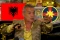 Gigi Becali