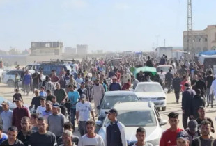 gaza