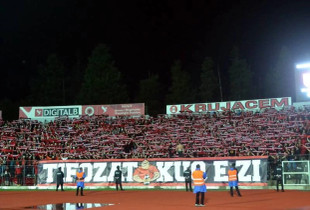 Tifozat Kuq e Zi