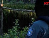 Policia e Kosoves - njesiti antidroge