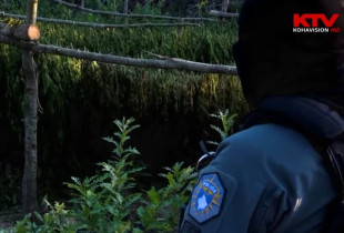 Policia e Kosoves - njesiti antidroge