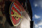 Arsenali