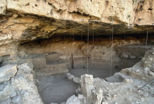 neandertal