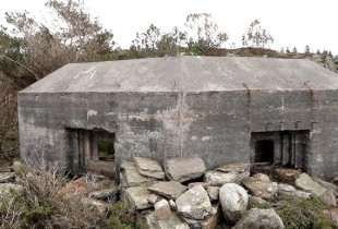 Gjermani