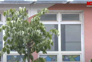 Shkolla "Xhavit Ahmeti"