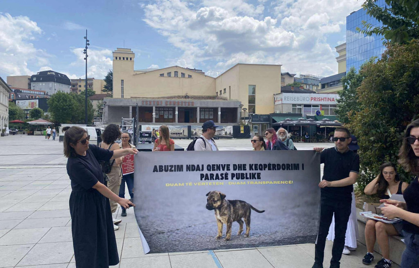 Protestë kundër qasjes së Komunës së Prishtinës në trajtimin e qenve endacakë