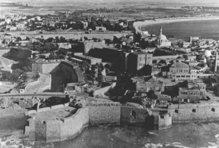 burgu palestine
