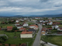Bubavec