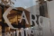 “Argo Group”