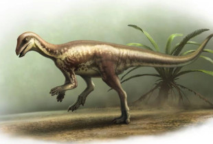 dinozauri