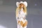 Beyonce