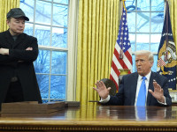 Donald Trump - Elon Musk