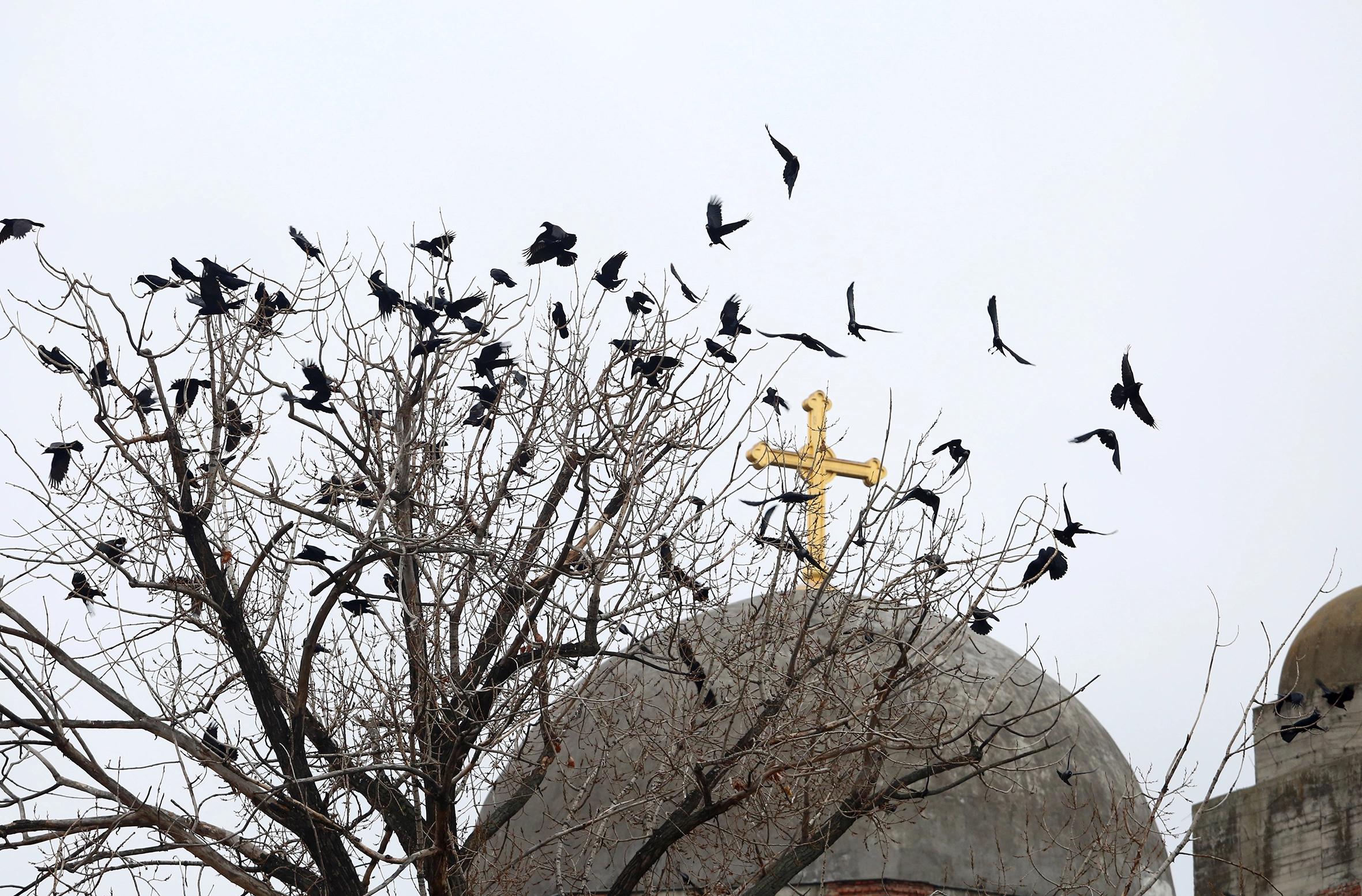 Si student, e mbaj mend se si në vitin 1998, në kohën e luftës, ndërtuesit punonin me kapacitete të shtuara, thjesht donin t’ia vinin kryqin një orë e më parë (Foto: Alban Bujari)