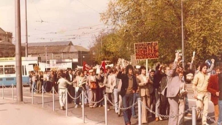 Demonstratat e vitit 1981