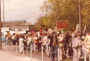 Demonstratat e vitit 1981