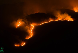 zjarr ne Kamenice