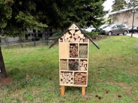 Hotel per insekte - Universiteti i Prizrenit