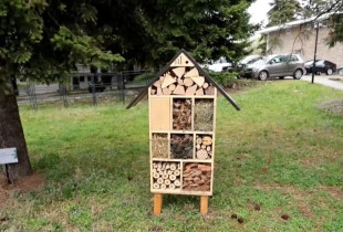 Hotel per insekte - Universiteti i Prizrenit