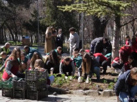 Nxënësit mbollën lule në Ditën e pranverës