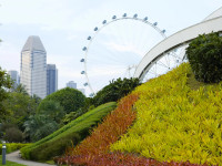 Singapori