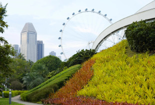 Singapori