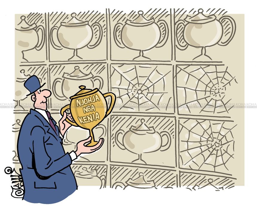 Karikatura e ditës