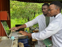 Mihja e kriptovalutave - Bitcoin ne Zambia