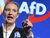 Alice Weidel - bashkëudhëheqëse e partisë