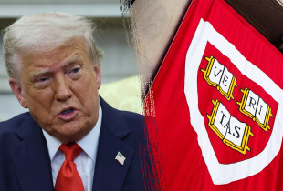 Trump Harvard