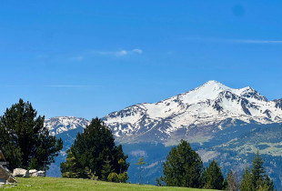 Me ushqime bio një familje po e zhvillon turizmin në bjeshkën e Strellcit