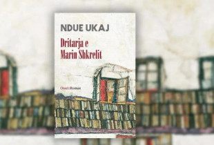 Romani “Dritarja e Marin Shkrelit”