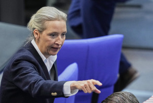 AfD Alice Weidel