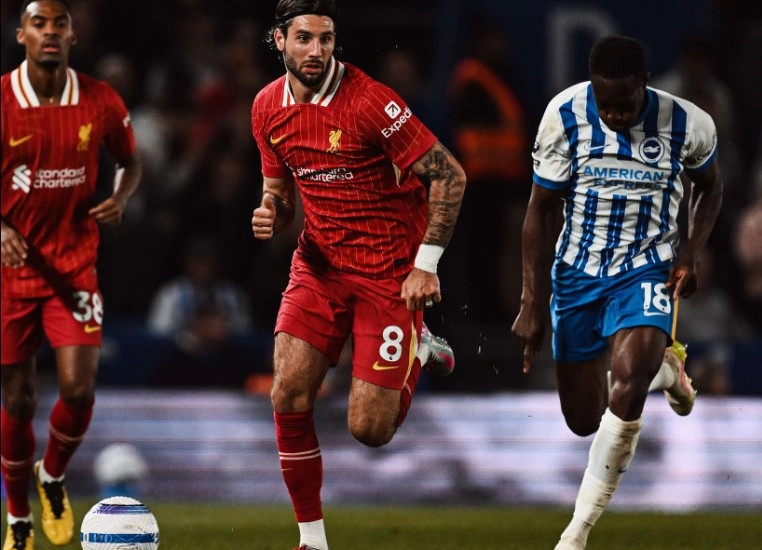 Brighton - Liverpool