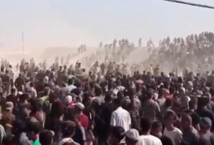 Gaza