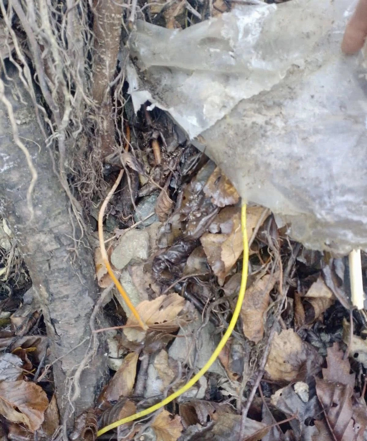 Sveçla për gjetjen e detonatorëve në Leposaviq: Policia shmangi sulme të rrezikshme terroriste