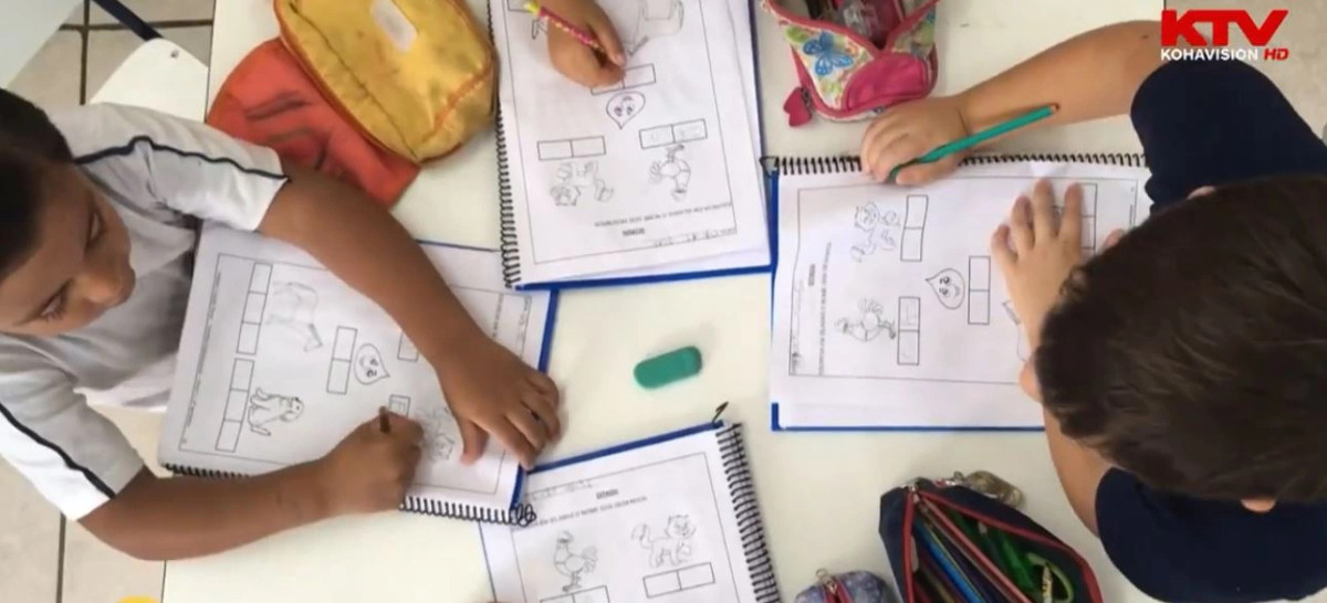 Nxënësit të ngarkuar me detyra e kurse  psikologët kërkojnë balancë