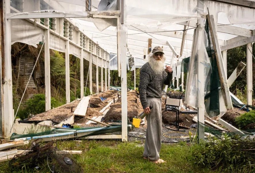 “Gandalfi” -  Kultivuesi i marihuanës mjekësore: Hero popullor apo kriminel?