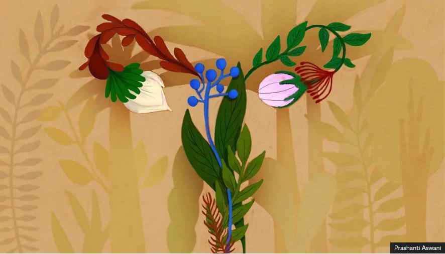 Ilustrim nga Prashanti Aswani