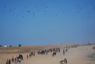 Palestinezët nisin të kthehen në shtëpitë e tyre