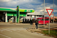 Leskovc