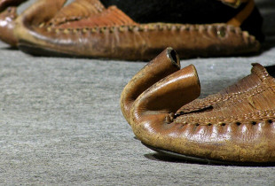 Mikut të munguar serb