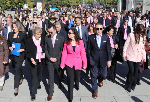 marshi- kanceri i gjirit