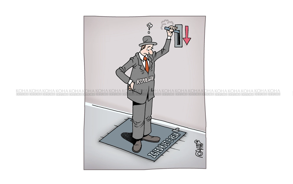 Kuvendi dhe zgjedhjet e reja - Karikatura e ditës